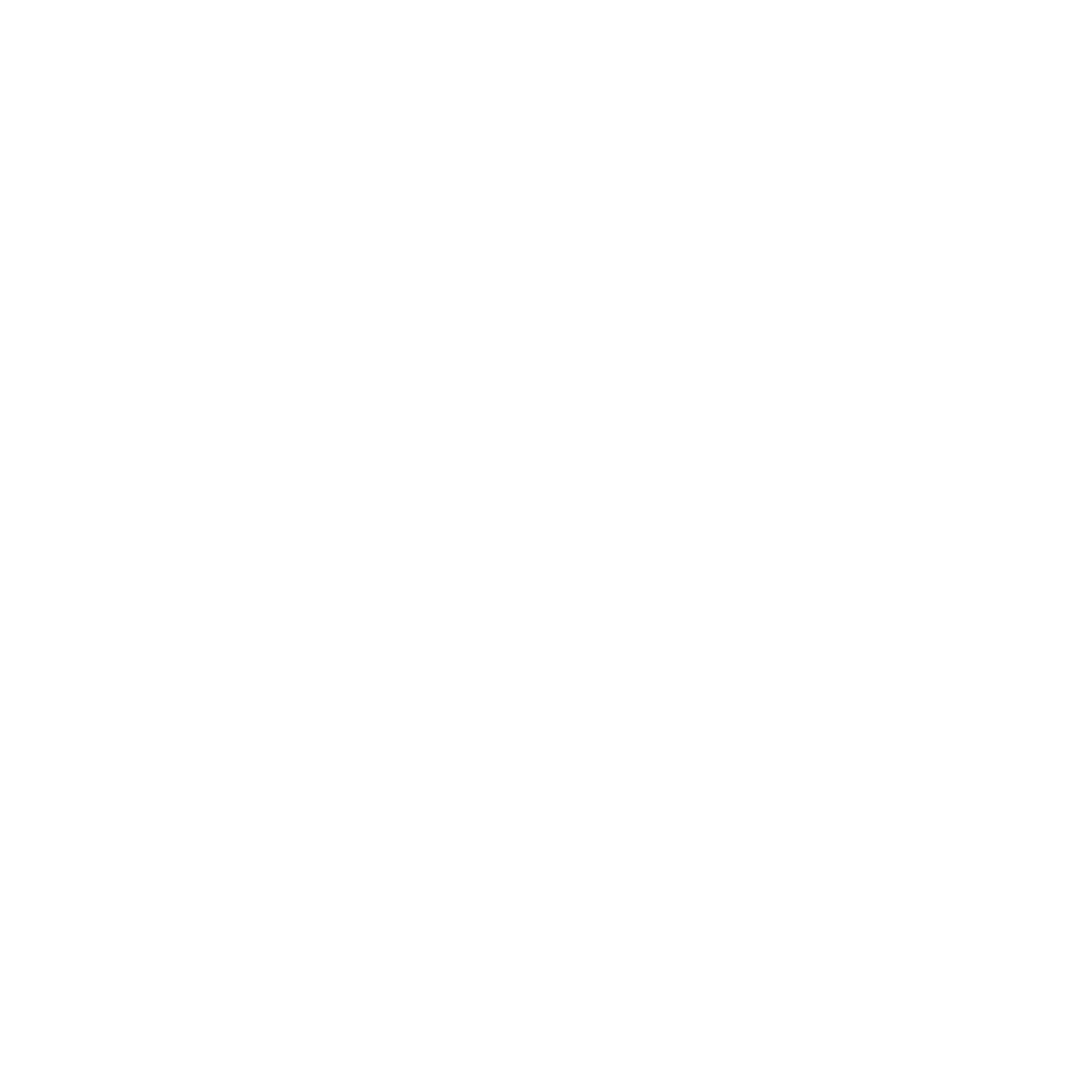 Logotipo branco Brunella Aloquio